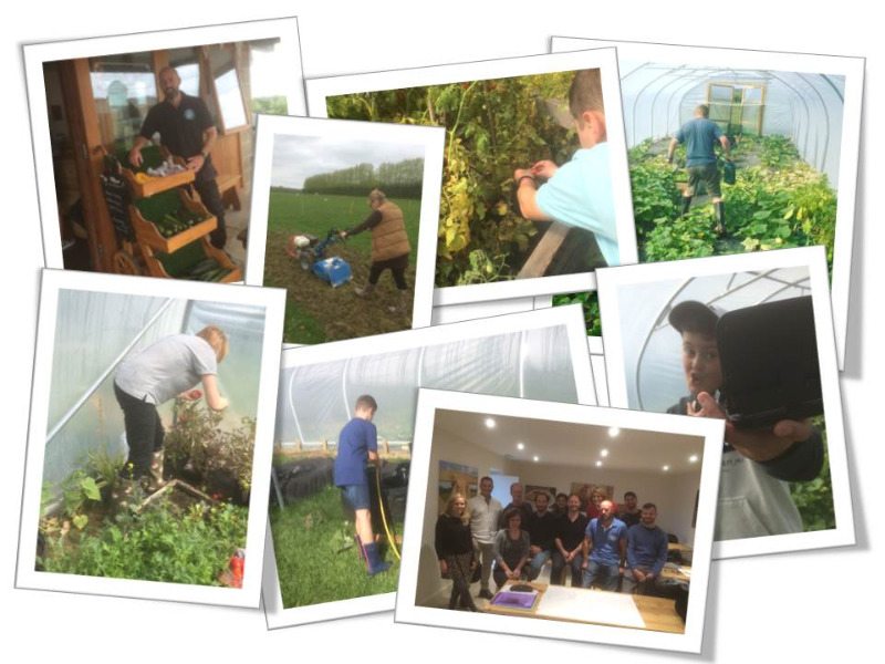 Herts & Essex Community Farm