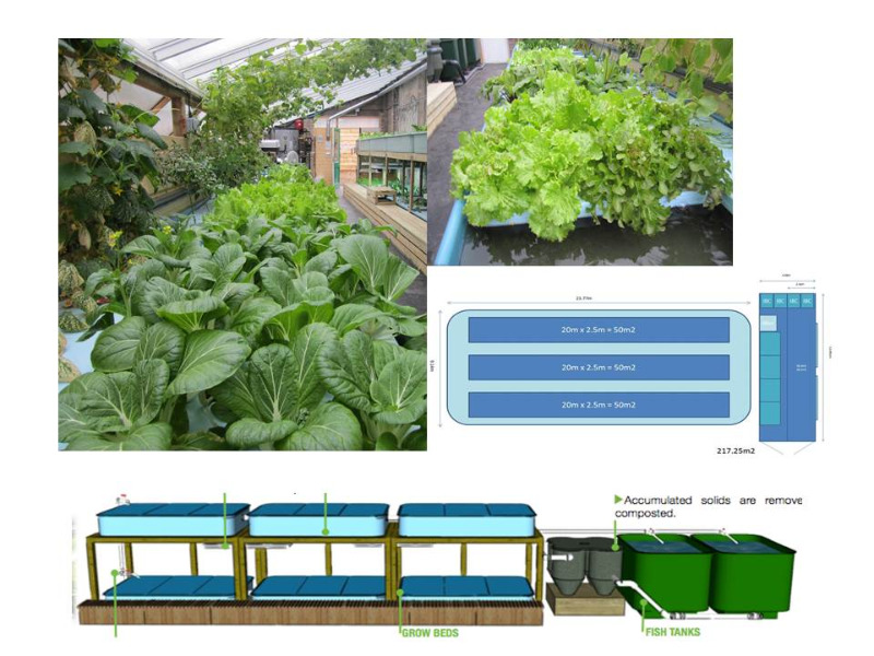 Herts & Essex Community Farm