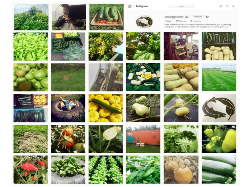Adrian's Community Farm